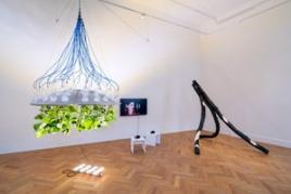 Ausstellungsansicht [em]Bordering Plants[/em], Foto © Simon Veres