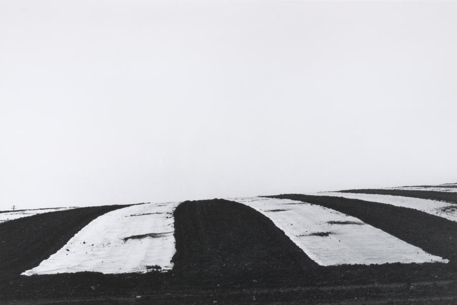 Lewis Baltz Irvine Ranch, 1968 Albertina, Wien - Erworben mit Unterstützung der Kunstsektion des Bundes (Galerienförderung)