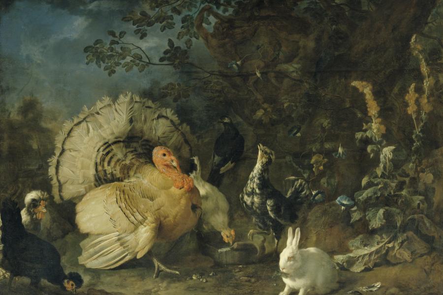 Franz Werner Tamm  Hausgeflügel und Kaninchen, um 1706  Öl auf Leinwand  137 x 186 cm  © Belvedere, Wien