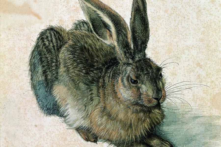 Albrecht Dürer Feldhase, 1502 Aquarell und Deckfarben, Pinsel, mit Deckweiß erhöht Albertina, Wien