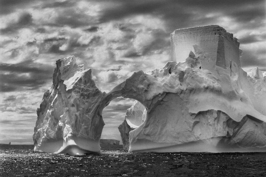 Salgado Iceberg