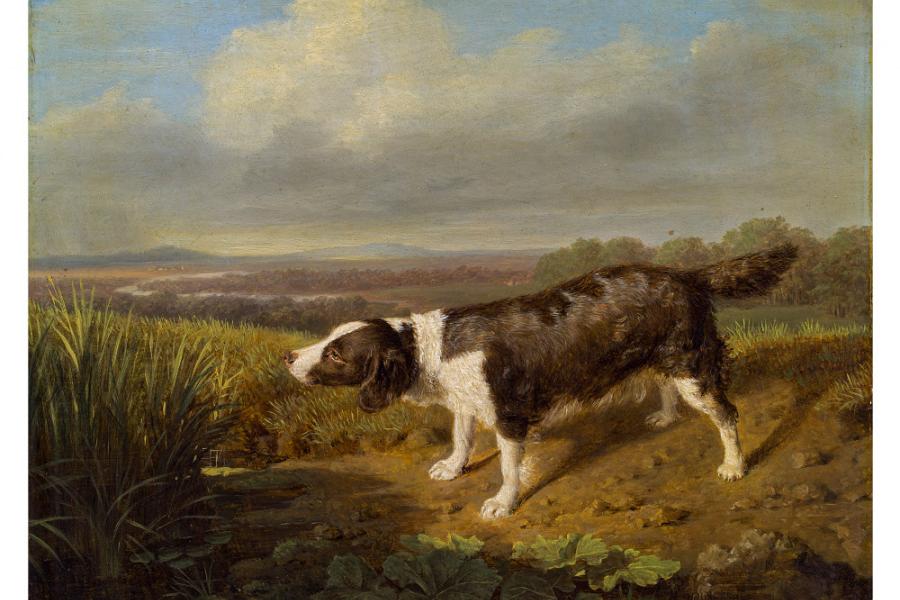 Ferdinand Georg Waldmüller Meistbot € 70.000 (ohne Aufgeld) (Wien 1793-1865 Helmstreitmühle bei Mödling) Jagdhund des Grafen Esterházy, am Tümpel stehend, 1823