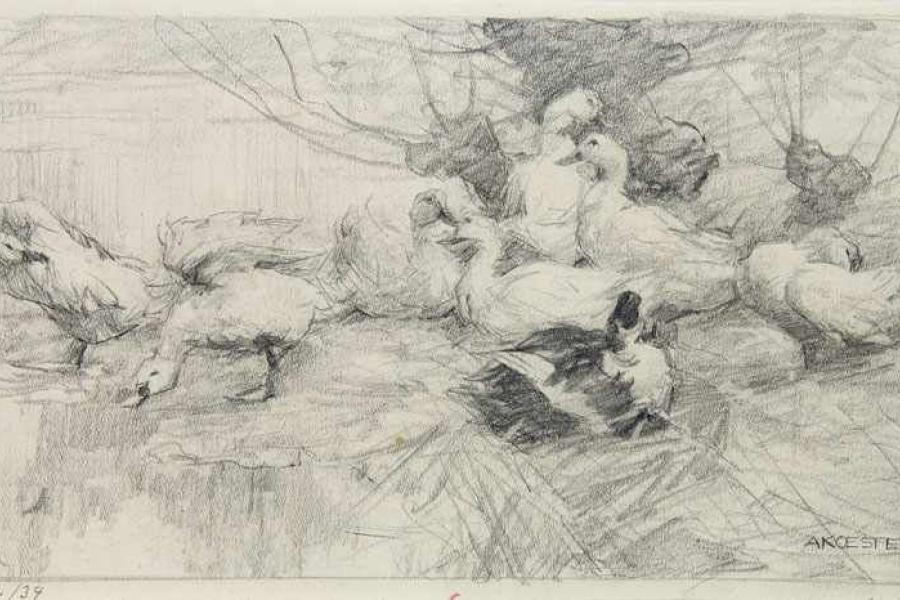 Koester, Alexander.  (1864 Neustadt - 1932 München). Enten am Ufer. 1912.  Schätzpreis:	3.000 EUR