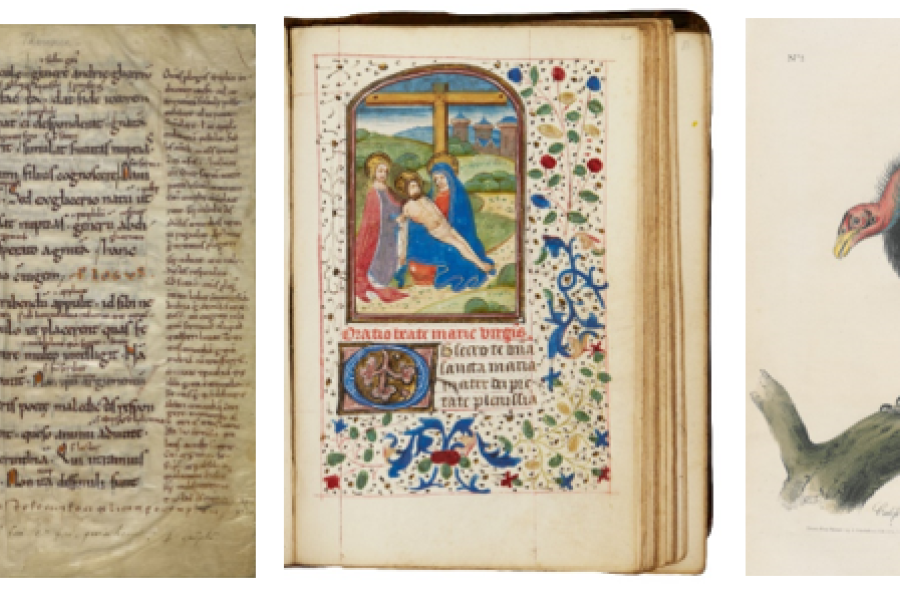 Left: A manuscript of the "Comoediae" of Terenz, written in the 13th century Centre: Book of Hours, Use of Rome, in Latin [southern Netherlands (Bruges), c.1460-70 Right: John James Audubon, The Birds of America from drawings made in the United States, printed in New York between 1840 and 1844 in 7 volume