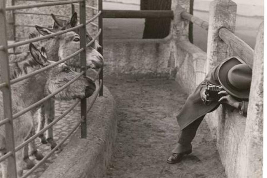 Friedrich Seidenstücker, Amateurfotograf im Berliner Zoo, 1930 © Stiftung Ann und Jürgen Wilde, Pinakothek der Moderne, München