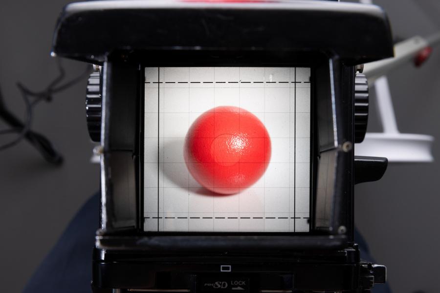 Lisa Rastl, For example: a (red) ball, 2024, Foto: Lisa Rastl