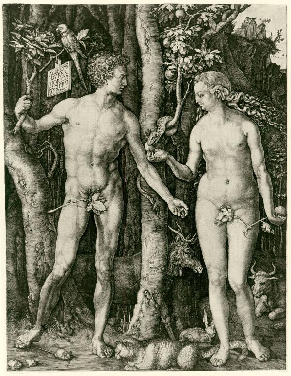 Albrecht Dürer Adam und Eva, 1504 Kupferstich, 25,1 x 19 cm Kunsthaus Zürich, Grafische Sammlung