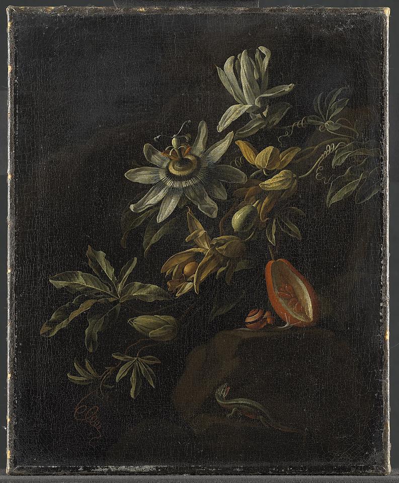 Elias van den Broeck, Stilleven met passiebloemen, ca. 1670-1708