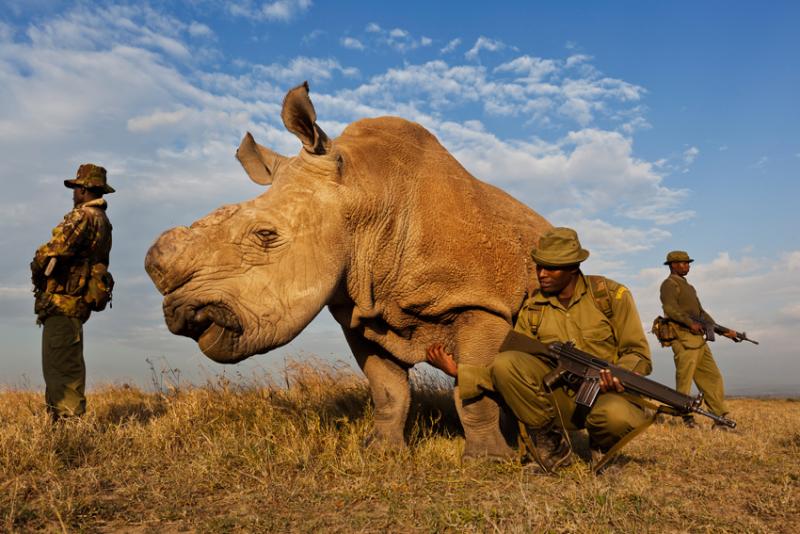 1.Preis Natur Fotoserien Brent Stirton, Südafrika, Reportage von Getty Images für National Geographic