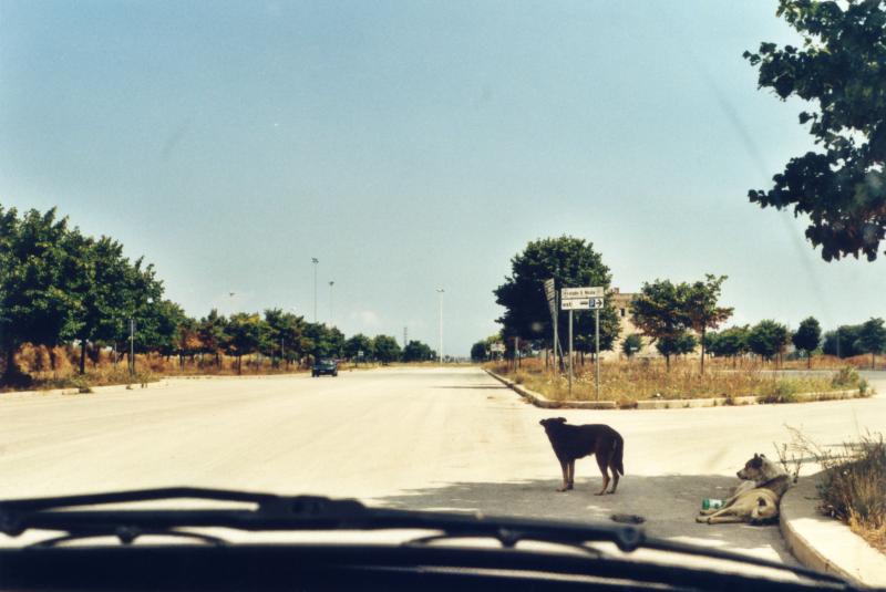 Josef Dabernig, Panorama (Jogging), 1999,  Courtesy des Künstlers, Galerie Andreas Huber, Wien und Wilfried Lentz, Rotterdam. © VBK, Wien 2013