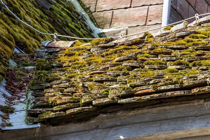 R. Rossner, Deutsche Stiftung Denkmalschutz Fachwerkkirche Breesen Feuchtigkeit dringt durch das vermooste Dach der Dorfkirche in Breesen. Es muss unbedingt neu gedeckt werden.