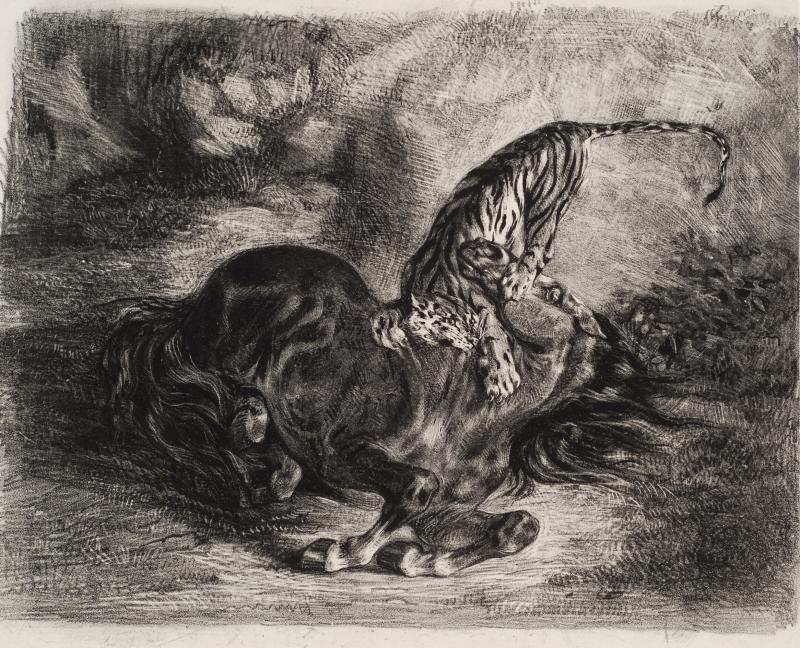 Eugène Delacroix (1798 - 1863) Wildes Pferd, von einem Tiger niedergestreckt, 1828 Lithographie, 220 x 280 mm © Sammlung Hegewisch in der Hamburger Kunsthalle Photo: Nicolai Stephan