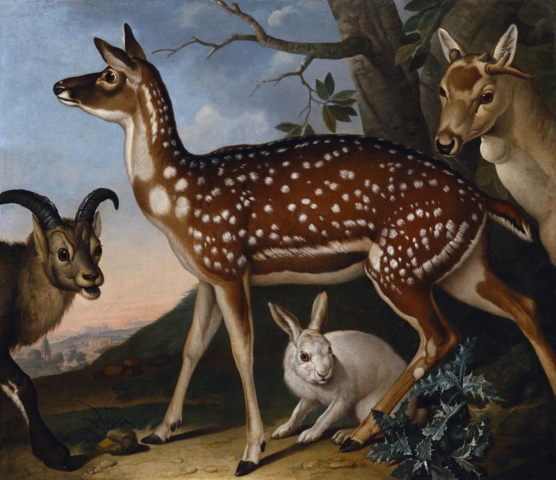 Philipp Ferdinand de Hamilton  Damwild, Steinbock und Hase, 1723  Öl auf Leinwand  108 x 126 cm  © Belvedere, Wien