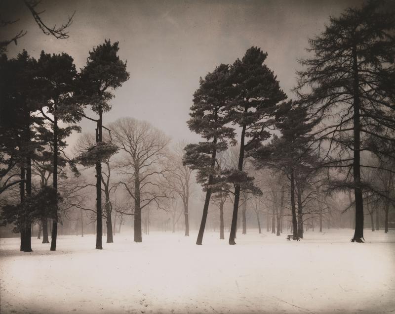 MENSCHEN VOR FLUSSLANDSCHAFT AUGUST SANDER UND DIE FOTOGRAFIE DER GEGENWART AUS DER SAMMLUNG LOTHAR SCHIRMER  August Sander, Stadtwald, um 1938, Silbergelatineabzug, 23 x 29 cm, Sammlung Lothar Schirmer, München  © Die Photographische Sammlung, SK Stiftung Kultur – August Sander Archiv, Köln, VG Bild-Kunst, Bonn 2014