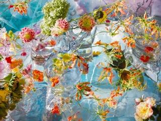 Margriet Smulders - Galerie Dom'Arte