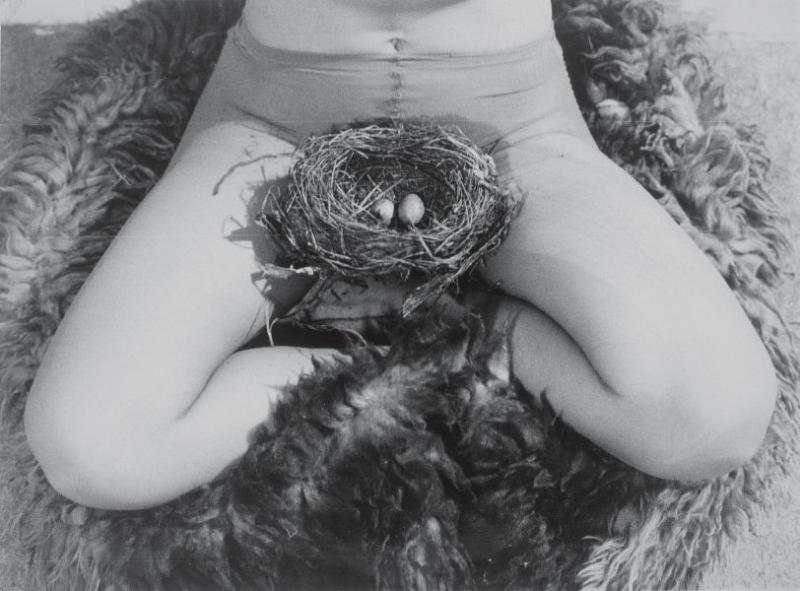 Birgit Jürgenssen (1949-2003) Nest, 1979 S/W-Photographie © Estate of Birgit Jürgenssen / Courtesy of Galerie Hubert Winter, Wien / VG Bild-Kunst, Bonn 2014/2015 / SAMMLUNG VERBUND, Wien