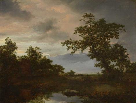 Jacob van Ruisdael, Haarlem 1628/29 – 1682 Amsterdam, Baumlandschaft mit Teich, Ende 1640er Jahre, Holz, Privatsammlung, Dep. 958