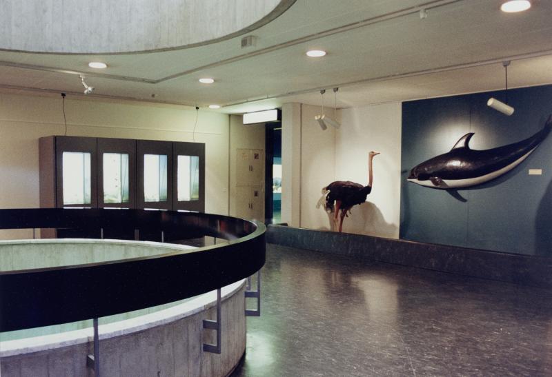 Candida Höfer, Zoologisches Museum Genf, 1989 Colour photograph, 35.5 x 51.2 cm Kunsthaus Zürich, Vereinigung Zürcher Kunstfreunde, Gruppe Junge Kunst, 1991, © 2019 ProLitteris, Zurich