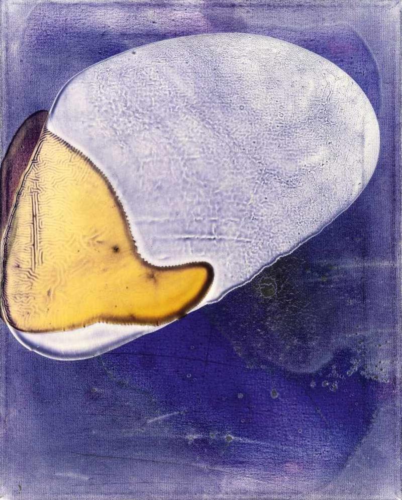 Sigmar Polke Farbprobe Kunststoffsiegel, Benzin auf Leinwand. (19)86. Ca. 50 x 40 cm. Verso auf dem Keilrahmen oben signiert, datiert, betitelt und mit „Kunststoffsiegel Benzin" bezeichnet. Mindestpreis:	50.000 EUR Aufrufpreis:	50.000 EUR Schätzpreis:	50.000 - 70.000 EUR