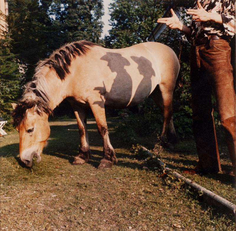 Padhi Frieberger, »High Noon« Ehem. Textilfabrik Fischapark, Weigelsdorf, 1982/87