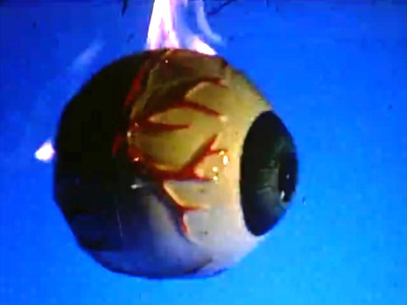 David Wojnarowicz, A Fire In My Belly (Film In Progress) and A Fire In My Belly (Excerpt), 1986–1987, Super-8-Film transferiert auf Video, 13′06′′ & 7′, Farbe & S/W, kein Ton. Videostill. Courtesy of the Estate of David Wojnarowicz and PPOW Gallery, New York.