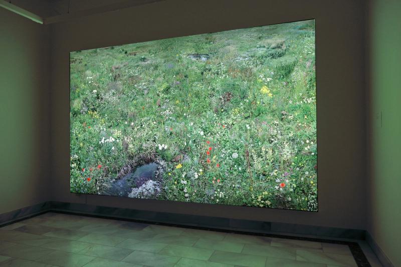 Hiroyuki Masuyama, Flowers No 7, 2009, Foto G. Broecker © Staatliche Schlösser, Gärten und Kunstsammlungen Mecklenburg-Vorpommern