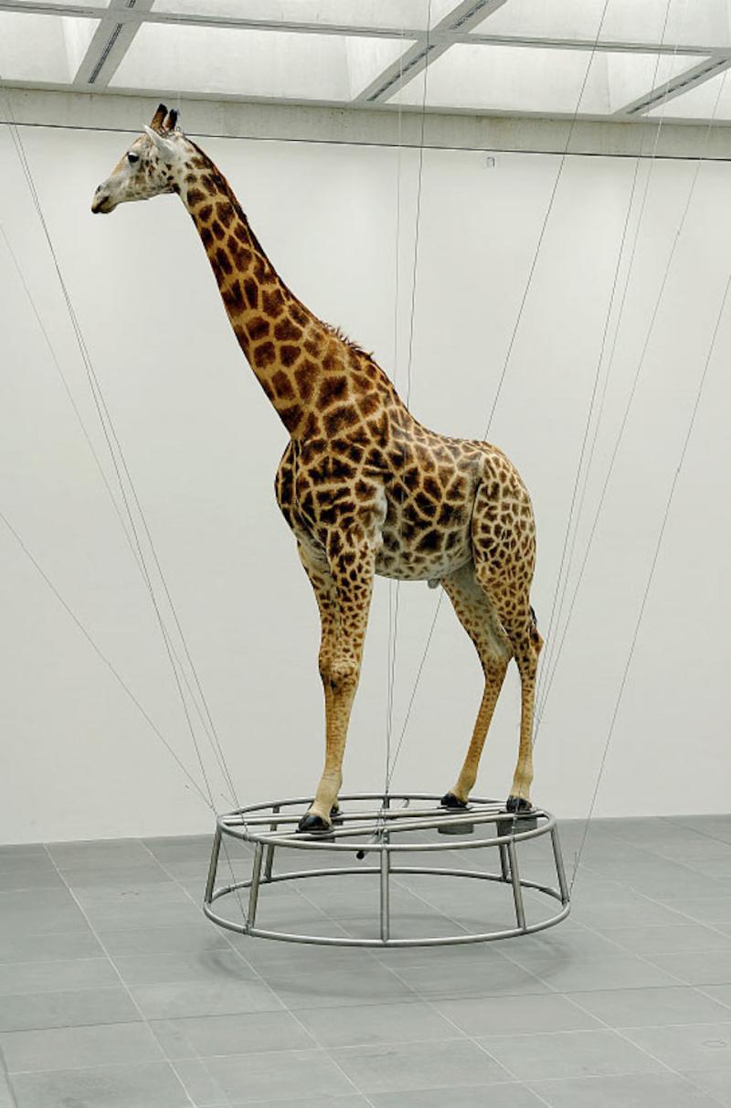 Christiane Möbus »Küsse vom König«, 2001/2007 Küsse vom König, 2001/2007 Edelstahl, präparierte Giraffe, Drahtseil Höhe 520 cm, Durchmesser 245 cm