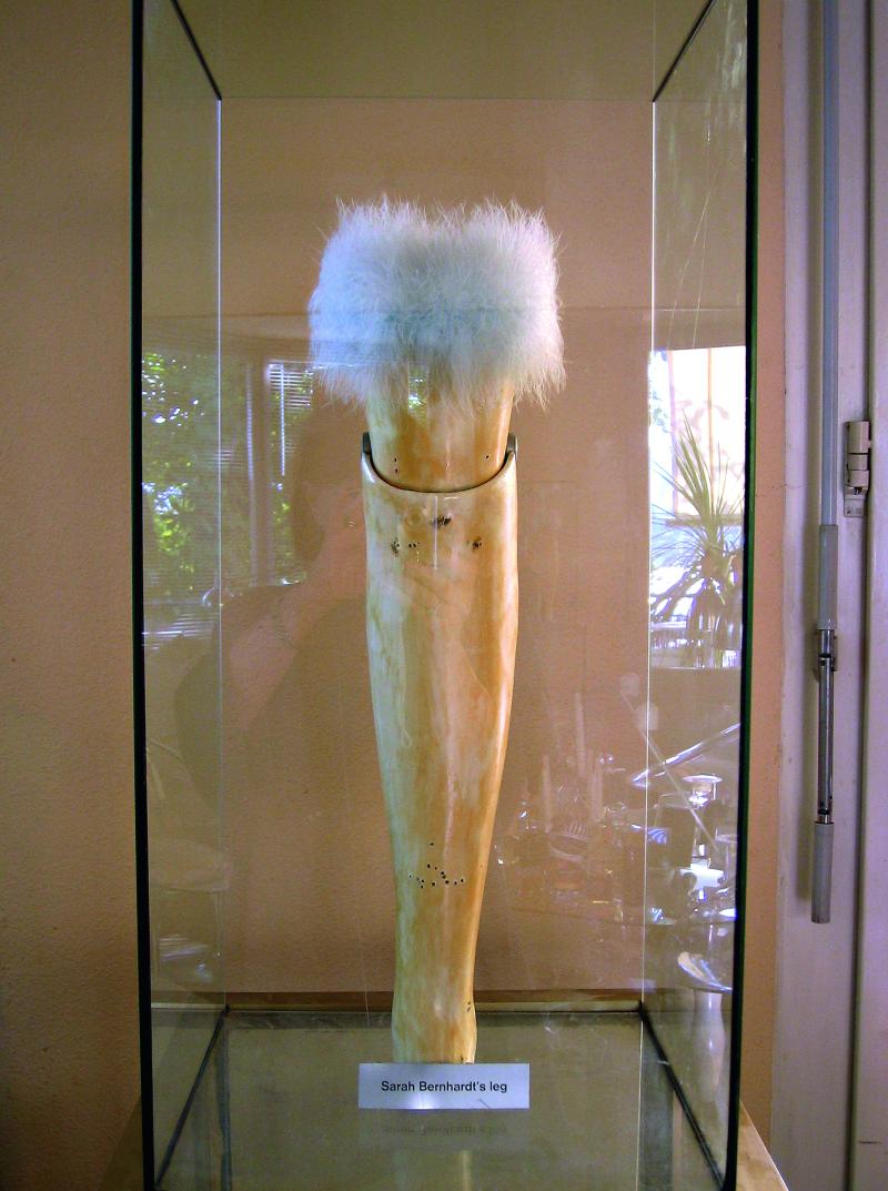 MANON, Sarah Bernhardt‘s Leg, 1999 Mixed Media Im Besitz der Künstlerin, © 2022, ProLitteris, Zurich*