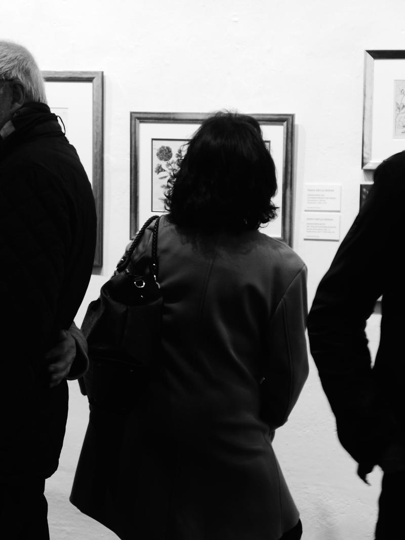 Impressionen der Ausstellung (c) findART.cc Foto frei von Rechten.