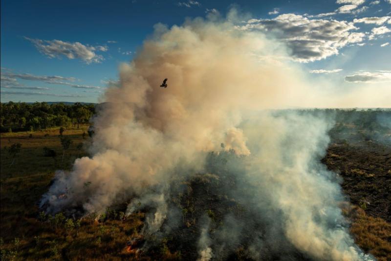 SOUTHEAST ASIA AND OCEANIA, STORIES  Saving Forests with Fire © Matthew Abbott, Australia, for National Geographic / Panos Pictures