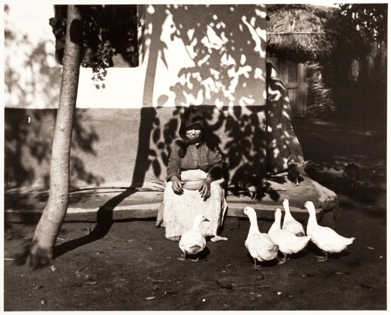 002 ANDRÉ KERTÉSZ (1894-1985) Tisza Szalka (Die Fütterung der Gänse am späten Nachmittag), Juli 1924 © OstLicht Photo Auction 18,9 x 24,6 cm Preis: 6.000 €