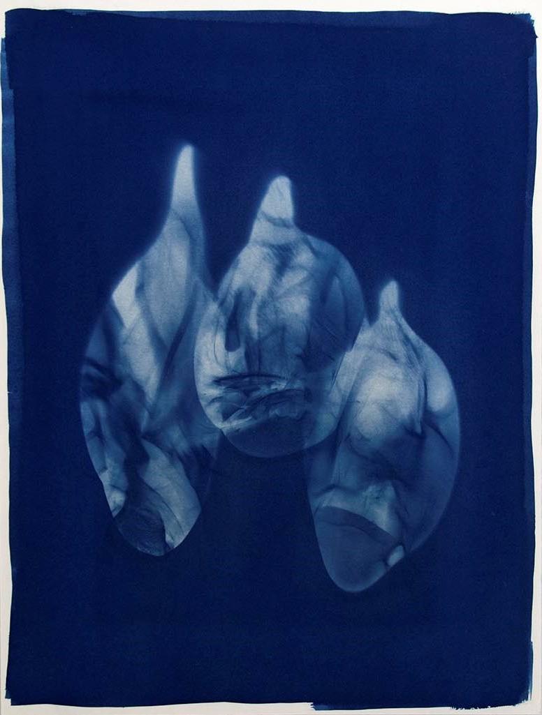 Cyanotype – Le merveilleux est dans le quotidien, 2021 (c) ynorrhodon.org