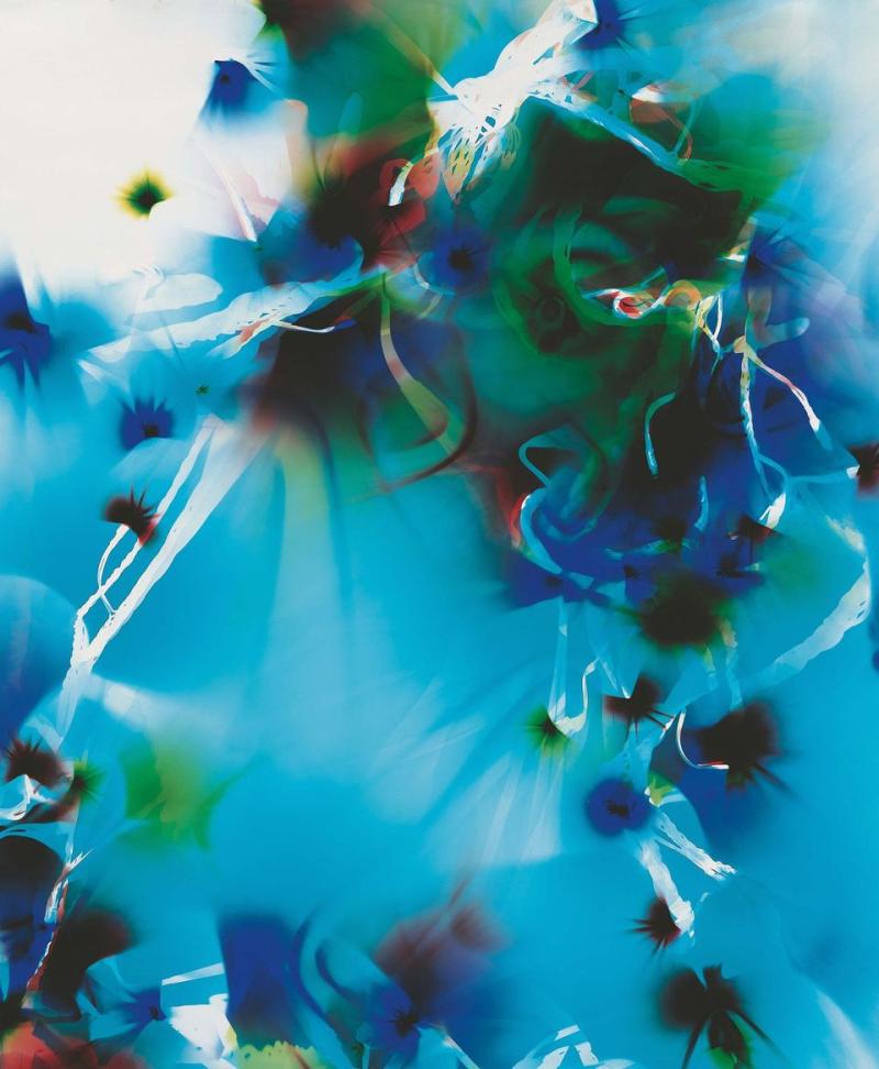 Wolfgang Tillmans (1968) Mental Picture #52 | 2000 | Inkjet-Print | 329 x 267 cm | Ex. 1/1 Ergebnis: € 356.000