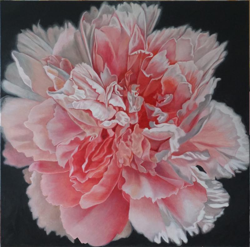 Pink Peony 2022, Öl/Lwd, 100x100 cm © Richard Jurtitsch