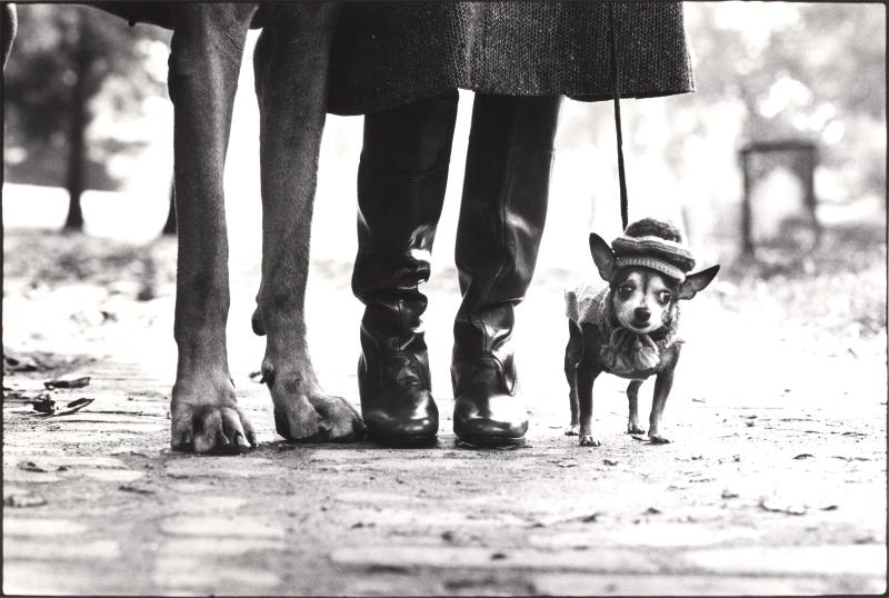 ELLIOTT ERWITT (*1928) New York City, 1974 © OstLicht Photo Auction 37,2 x 55,5 cm Preis: 11.400 €