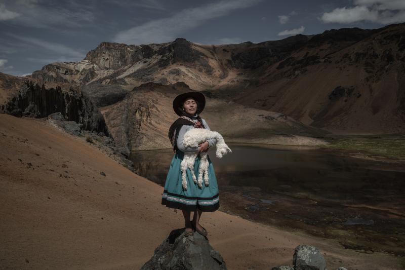 1. PREIS, STORIES, SÜDAMERIKA Alpaqueros © Alessandro Cinque, Pulitzer Center/National Geographic, Überschwemmung des Hawkesbury River, einer wichtigen Wasserstraße, die die Alina Surquislla Gomez, eine Alpaquera (Alpakazüchterin) in dritter Generation, hütet am 3. Mai 2021 in Oropesa, Peru, ein Babyalpaka auf dem Weg zu den Sommerweiden ihrer Familie.