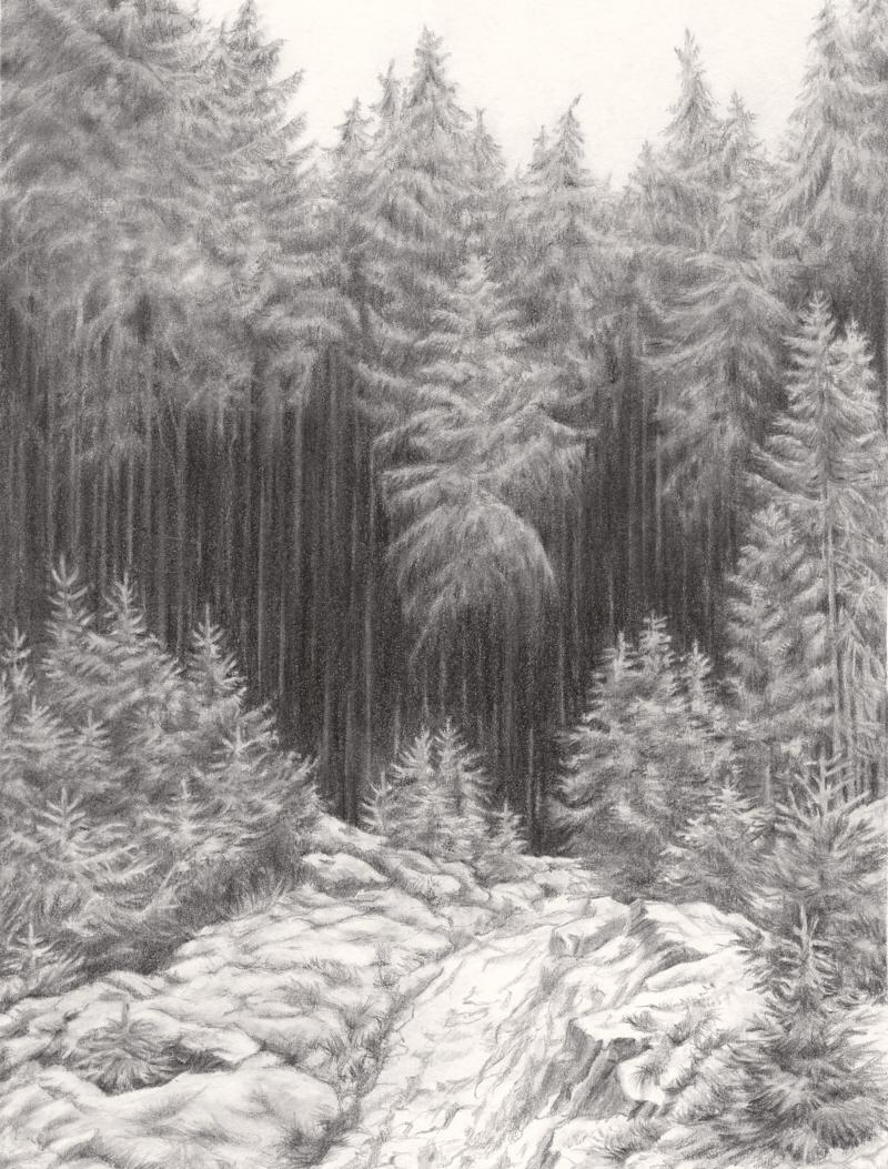 Ann Böttcher (*1973) Pause I (after Frühschnee, »Early Snow«, Caspar David Friedrich, ca. 1827) 2000 Bleistift auf Papier 26,4 × 29,6 cm Maria Bonnier Dahlins Stiftelse, Stockholm © Bonniers / Lenz