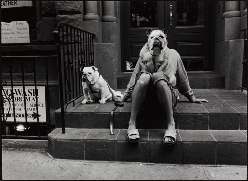 ELLIOTT ERWITT (1928–2023) New York City, 2000 Silber-Gelatine Print 27,9 x 35,