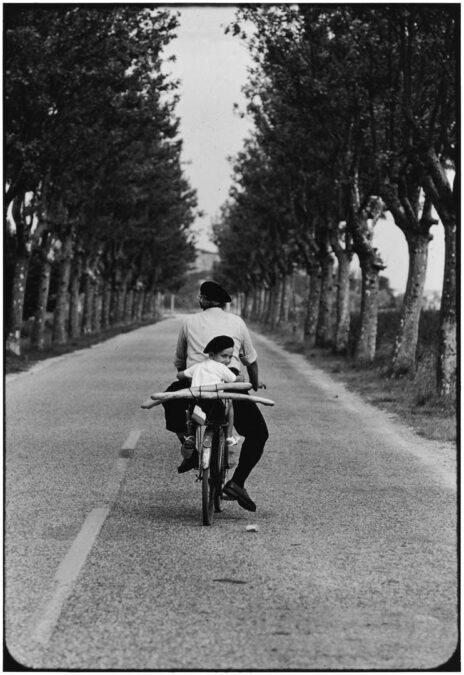 Galerie Stephen Hoffman  Elliott Erwitt  Provence  1955  Gelatin Silver Photograph  60 x 50 cm