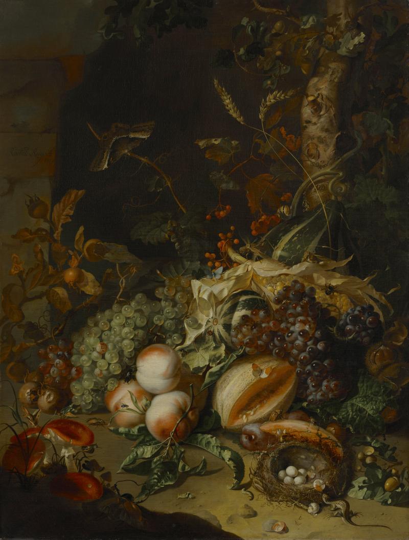 Rachel Ruysch (1664-1750) Früchtestück, 1709  Leinwand 92,7 x 70,3 cm Inventarnummer 420  © Bayerische Staatsgemäldesammlungen - Alte Pinakothek München Foto: Sibylle Forster